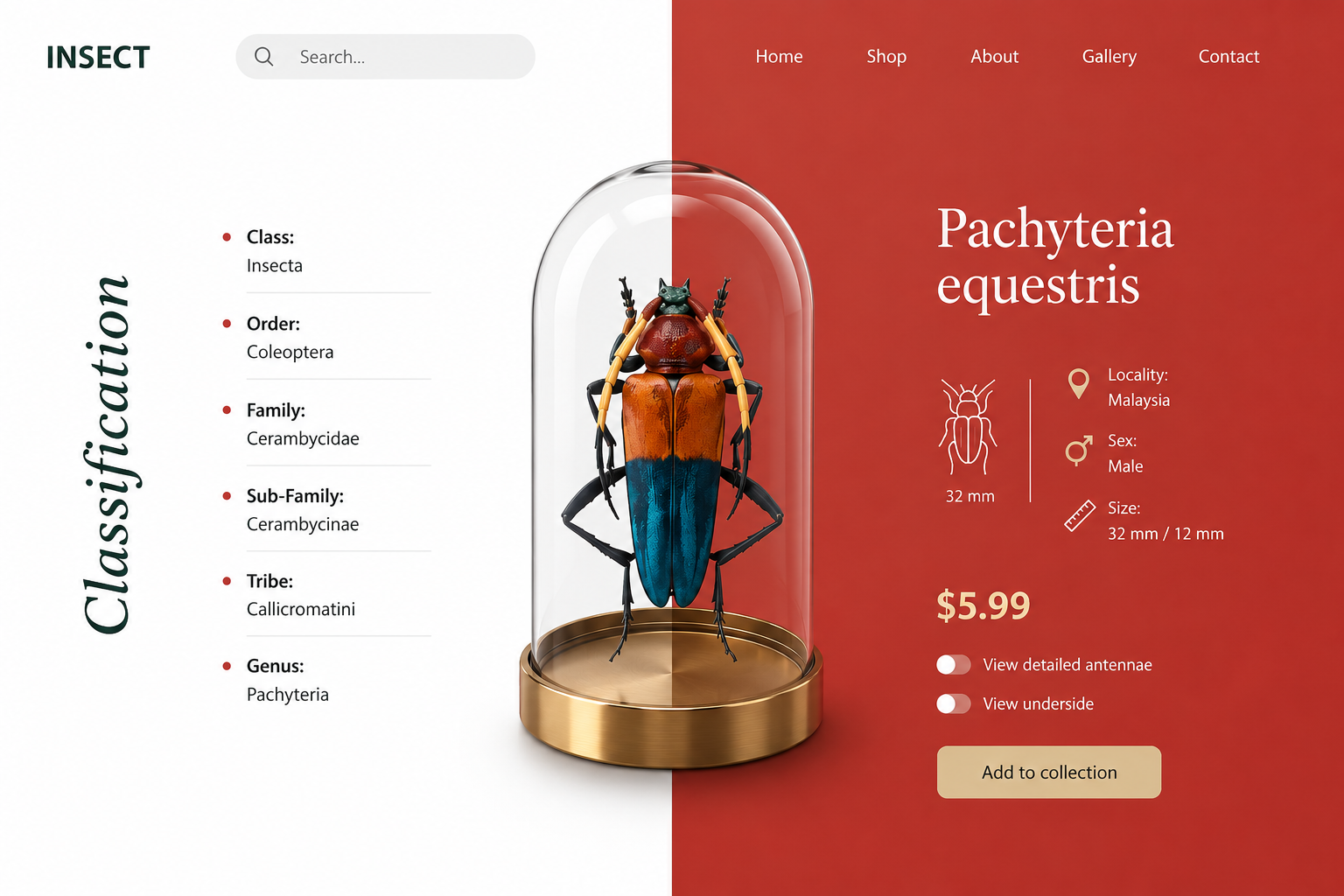 Website 3